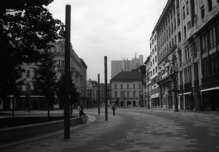 A broad empty street framed by trees and buildings.
