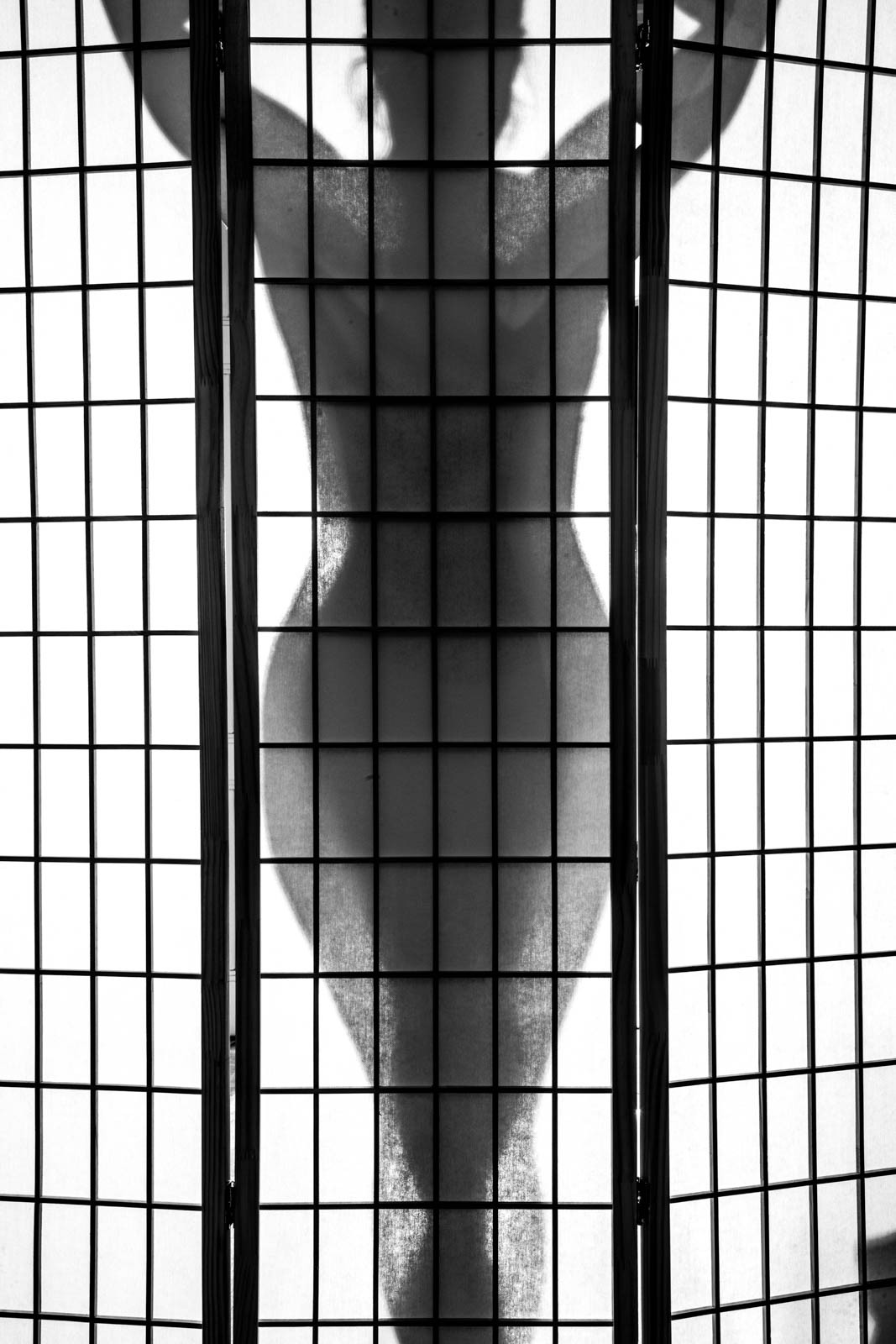 MG_8278
