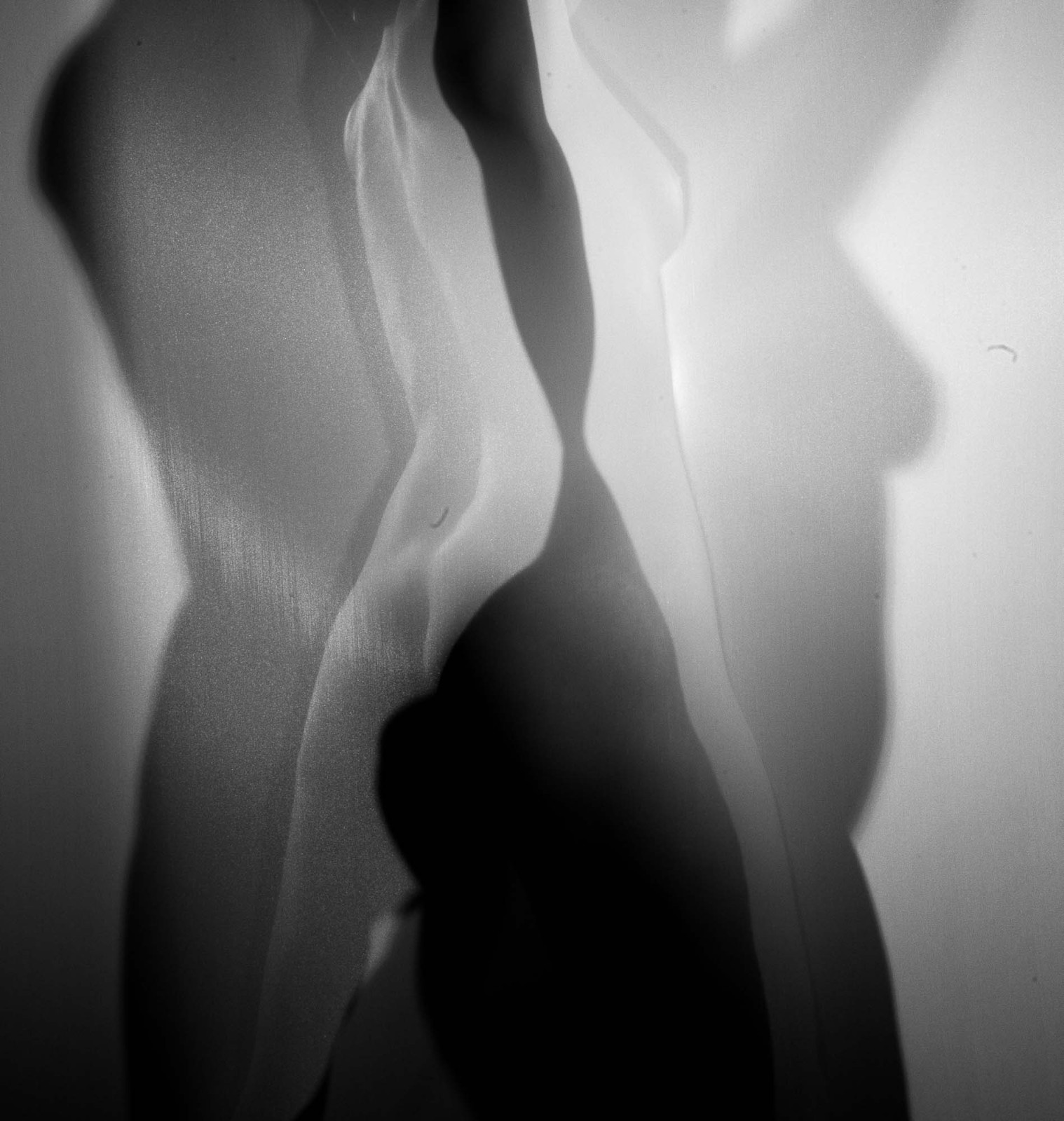 _MG_4689