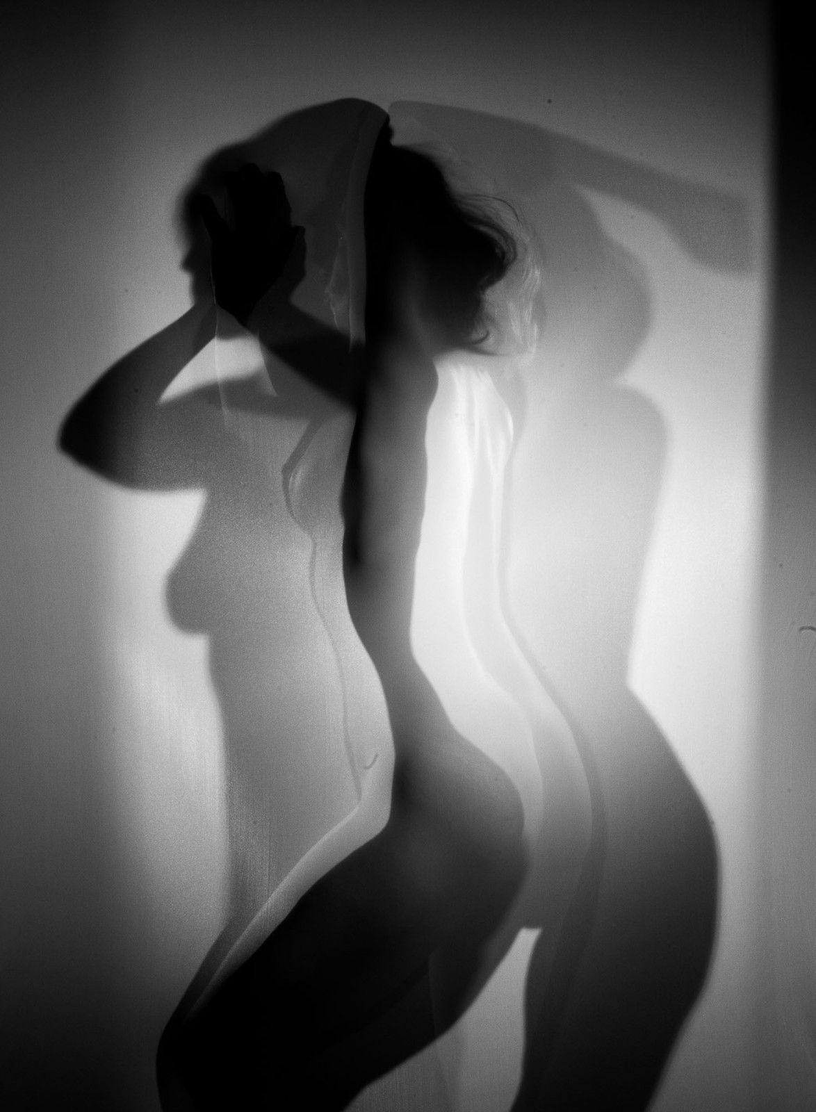 _MG_4713