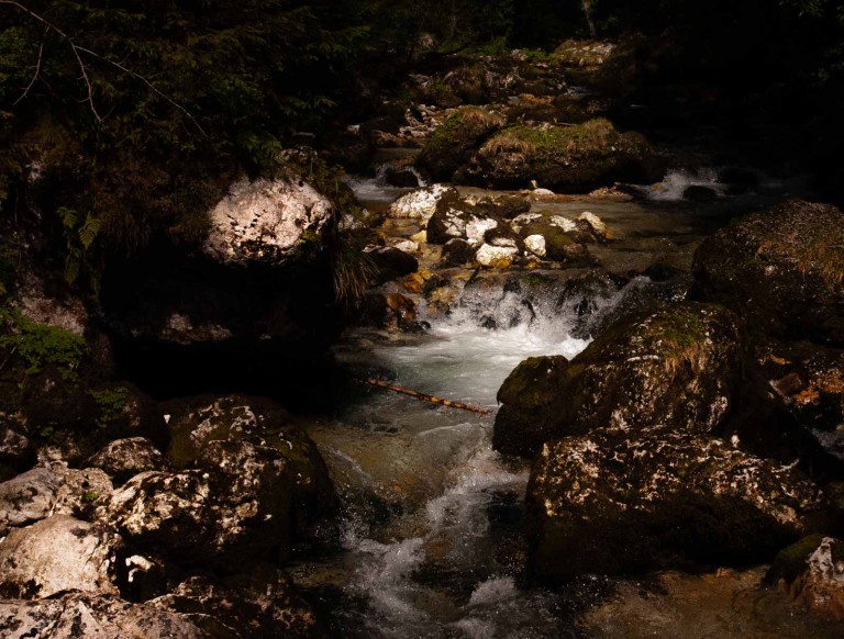 CRW_6461